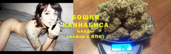 дживик Костерёво