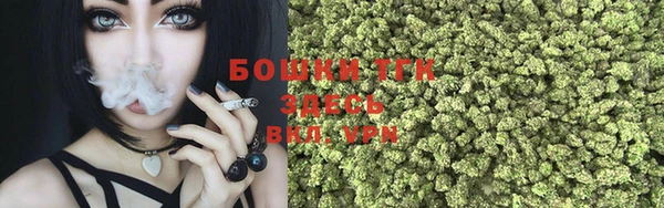 мяу мяу кристалл Корсаков
